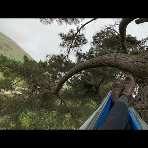 Meet your Posher, Lily